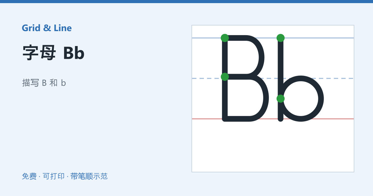 字母 Bb练习纸预览